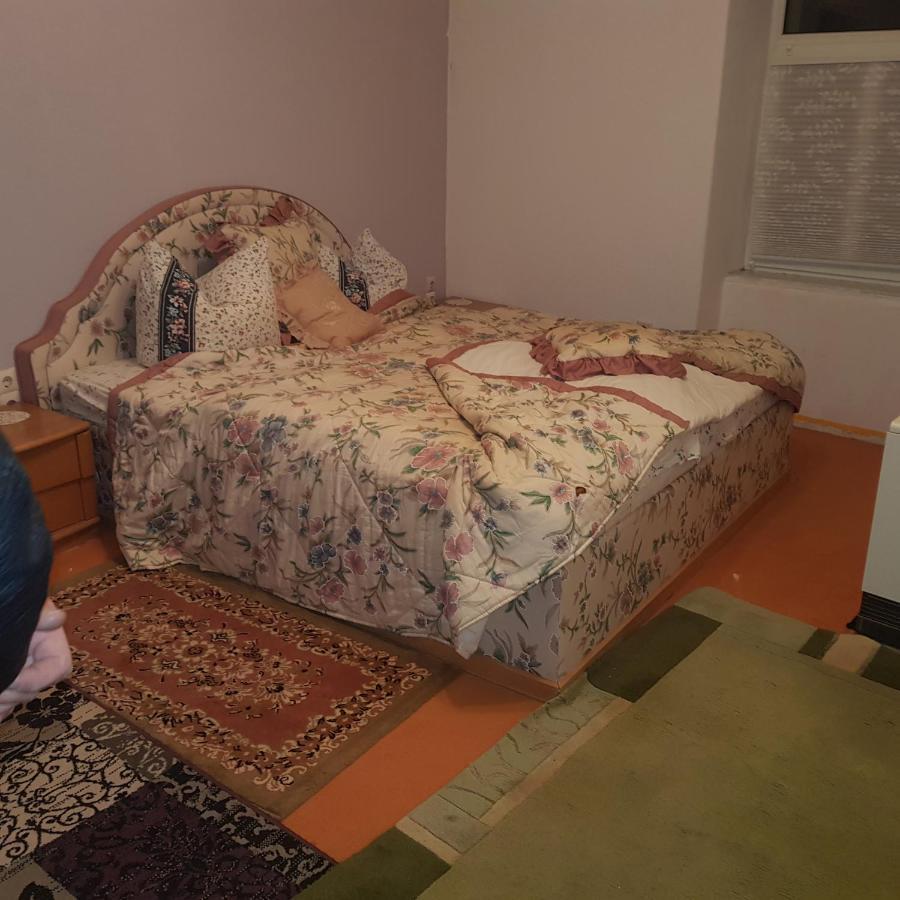 Ferienwohnung Wettin Am Petersbrunnen Bagian luar foto